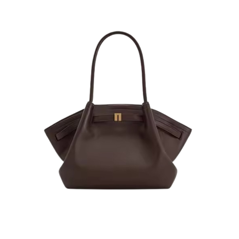 Women's Canvas Brown Mini Crossbody Shoulder Bag (Dark Brown)