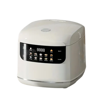 Mini Rice Cooker with Timer
